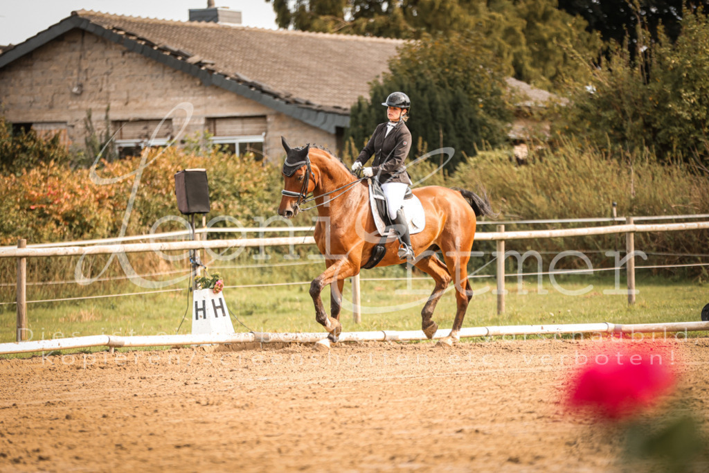 17.SoDrM00084 | Leoni Ertmer Photography - Realisiert mit Pictrs.com