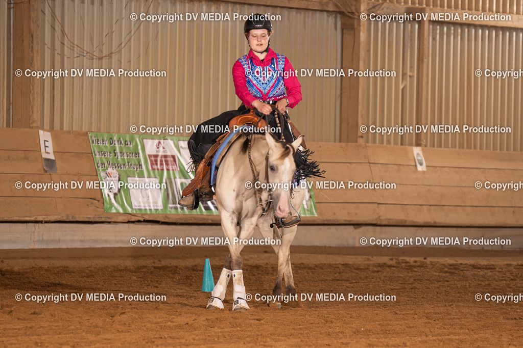 NID01227 | dv-media-shop - Realisiert mit Pictrs.com