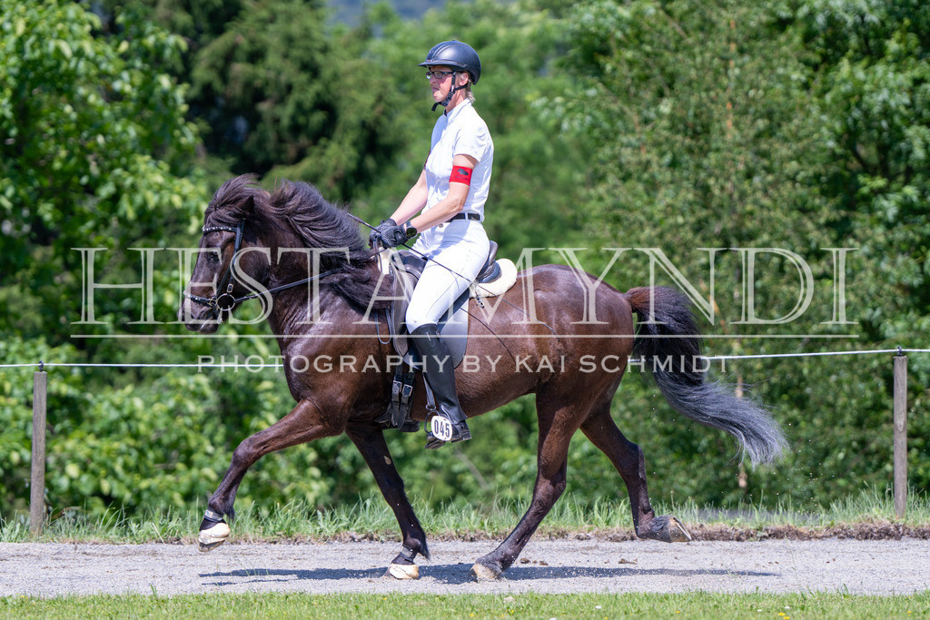 KAI04131 | Ihr sucht einen Fotografen für eure nächste OSI? Ich begleite auch euer Turnier für Islandpferde fotografisch.  - Realisiert mit Pictrs.com