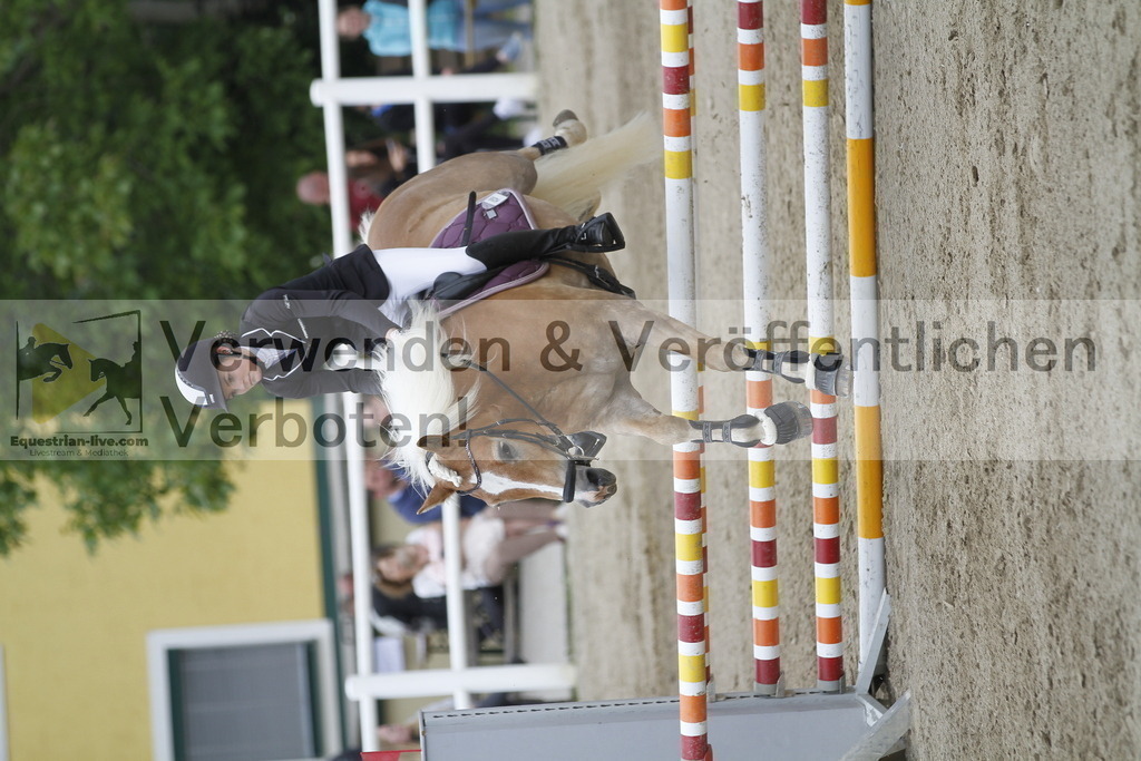 _MG_1110 | equestrian-live-com