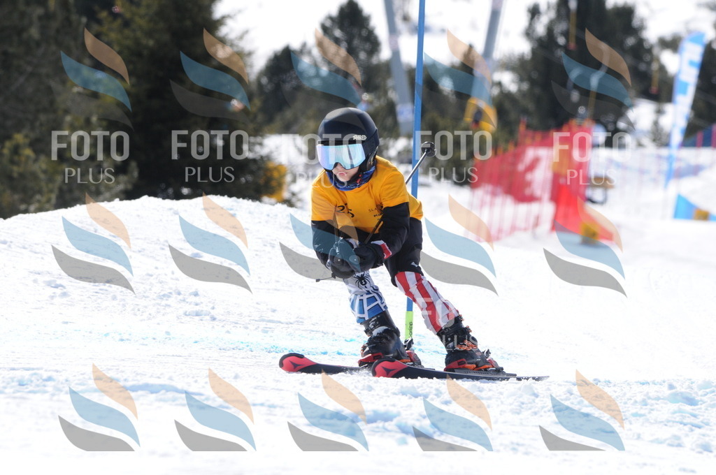 C8996 | holidayphoto