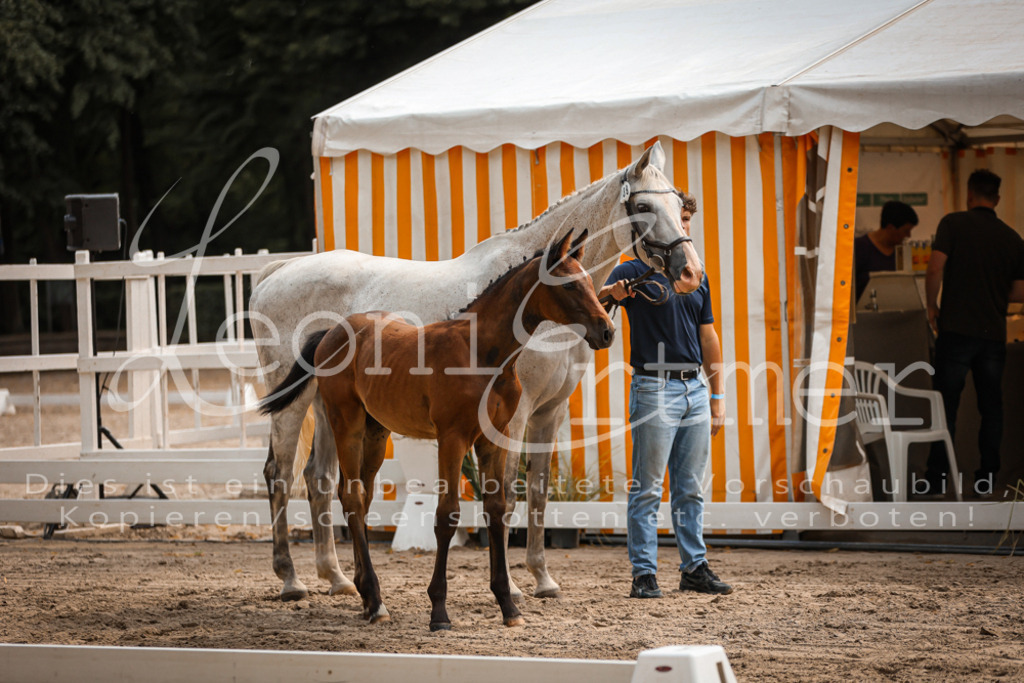 07.DoWBS00082 | Leoni Ertmer Photography - Realisiert mit Pictrs.com