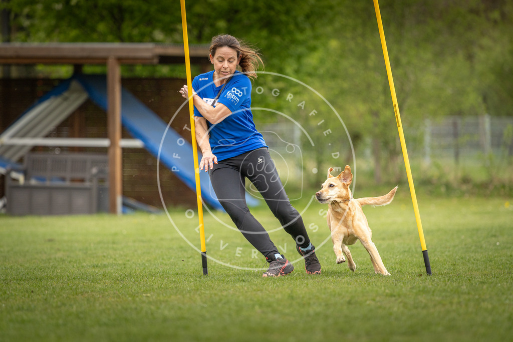 Pfotenfotografie_DV3A0026 | Hundefotografie, Tierfotograf, Pfotenfotografie, Fotoshooting Hund, Hunde Portrait, Hundesport, Hundeportraits, Heideshooting, Hunde, Sportfotograf, Hundefotograf, Turnierhundsport, THS,  - Realisiert mit Pictrs.com
