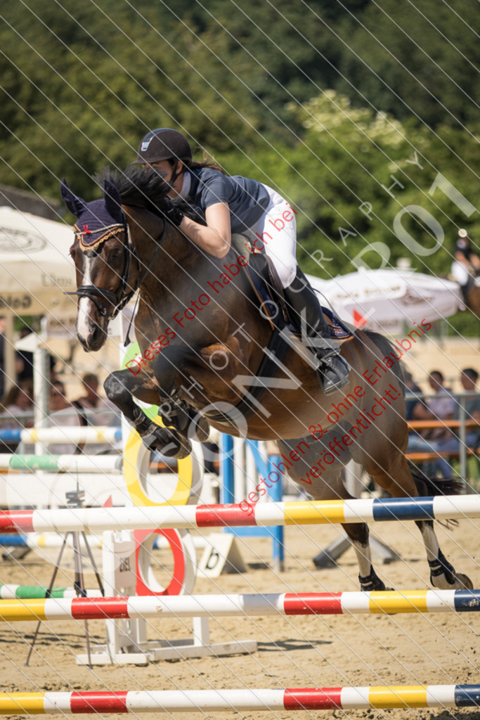 IMG_9567 | Sport-, Event- und Tierfotos in Profiqualität. Einfach auswählen, bestellen und herunterladen. Dein Moment – perfekt festgehalten.