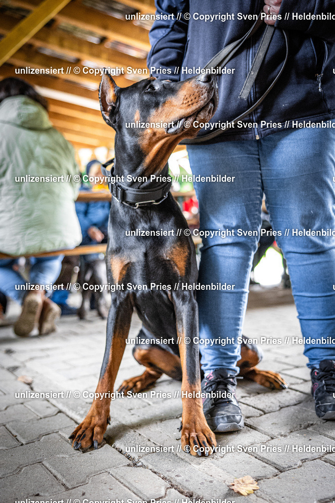 Sven Pries | 2025-10-03 - Hunderennen Obergrombach - Realisiert mit Pictrs.com