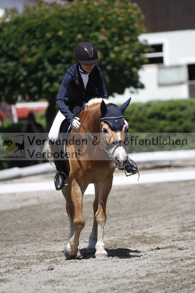 _MG_3881 | equestrian-live-com