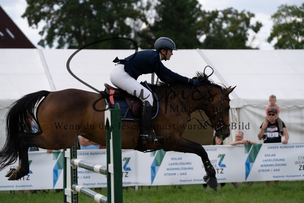 A7V04873 | Pferdefotograf