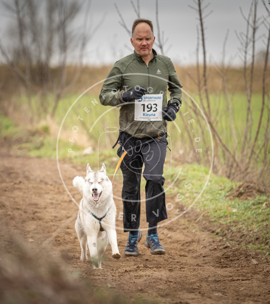 DV3A2233 | Hundefotografie, Tierfotograf, Pfotenfotografie, Fotoshooting Hund, Hunde Portrait, Hundesport, Hundeportraits, Heideshooting, Hunde, Sportfotograf, Hundefotograf, Turnierhundsport, THS,  - Realisiert mit Pictrs.com