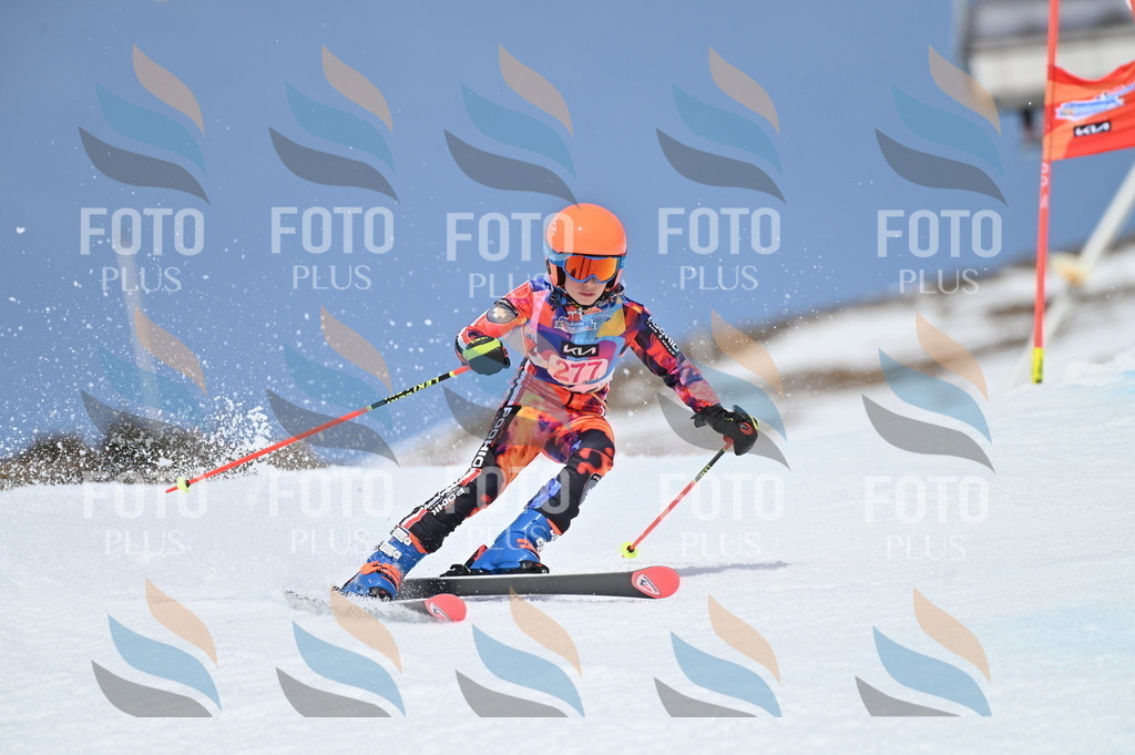 BGV_2364 | holidayphoto