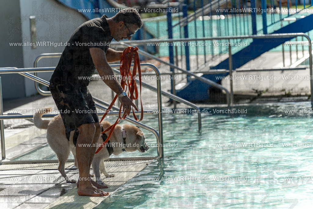 Hundeschwimmen_Volksbad_2026-allesWIRTHgut_Tierfotografie-2609061543-7R501729 | Professionelle Tierfotografie in Mönchengladbach von Daniel Wirth (allesWIRTHgut). Liebevolle & natürliche Bilder von Hunden & Katzen für unvergessliche Erinnerungen.