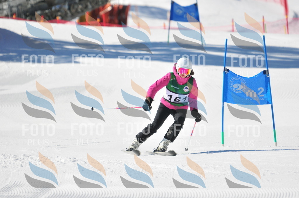 C4127 | holidayphoto