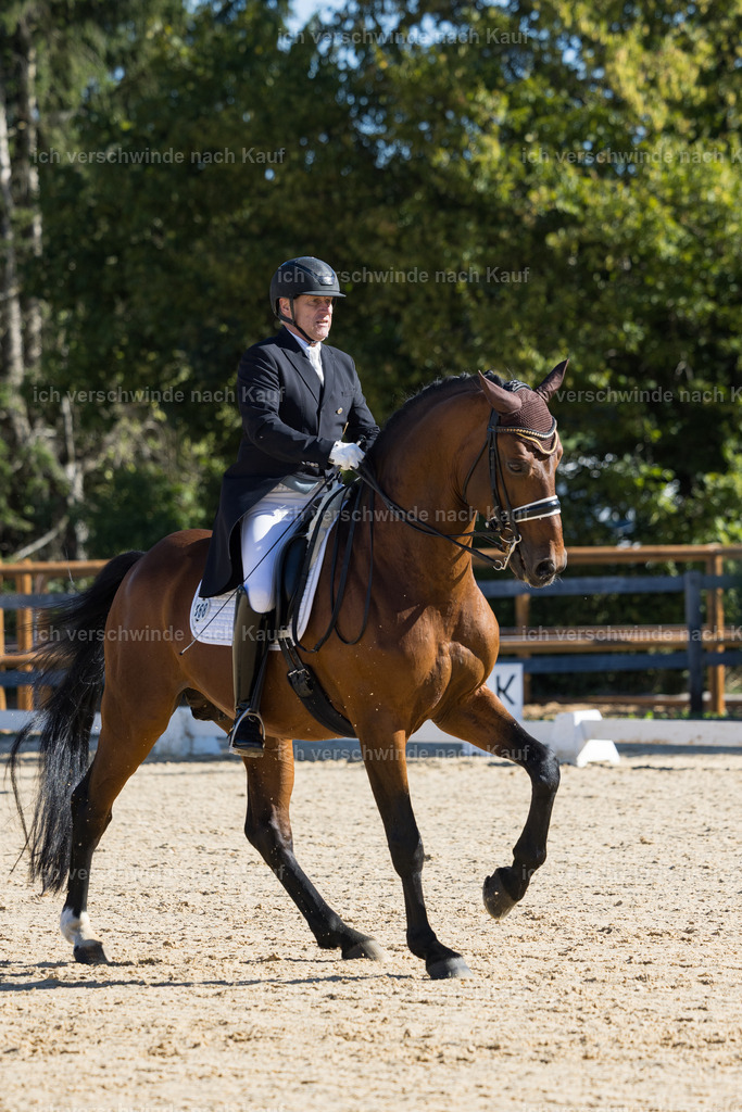 FHC2026_P07_168_17545 | working equitationturnier fotograf videograf stoibphotography marixx film working equitation deutschland reitsport turnierfotografie eventfotografie equestrian events