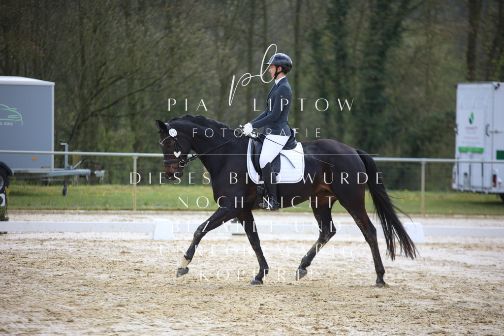 IMGT2971 | pl-fotografie