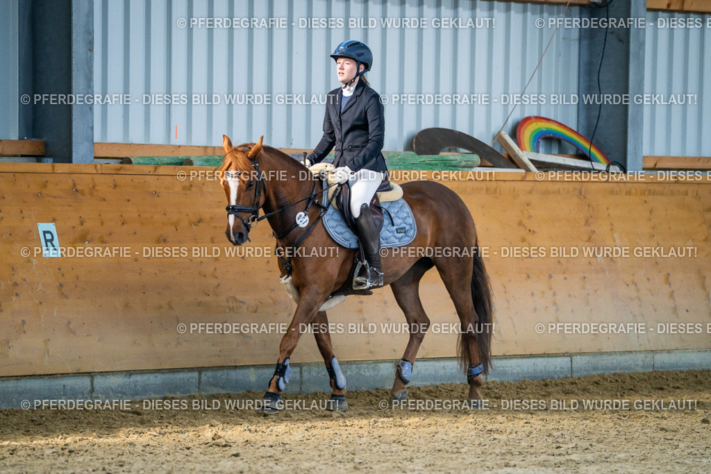 DSC01016 | Pferdegrafie