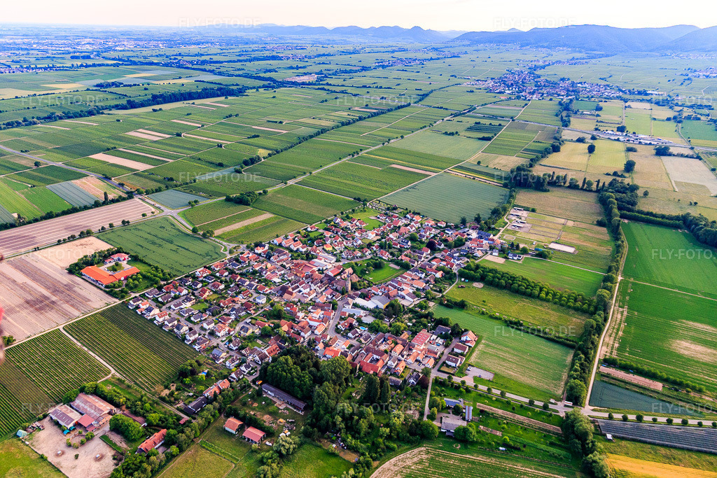 Luftbild: Dorfübersicht aus Nordosten in Großfischlingen im Bundesland Rheinland-Pfalz in Deutschland. Foto: IMG_107761.jpg vom 03.06.2018 durch Werner Riehm/FLY-FOTO.de