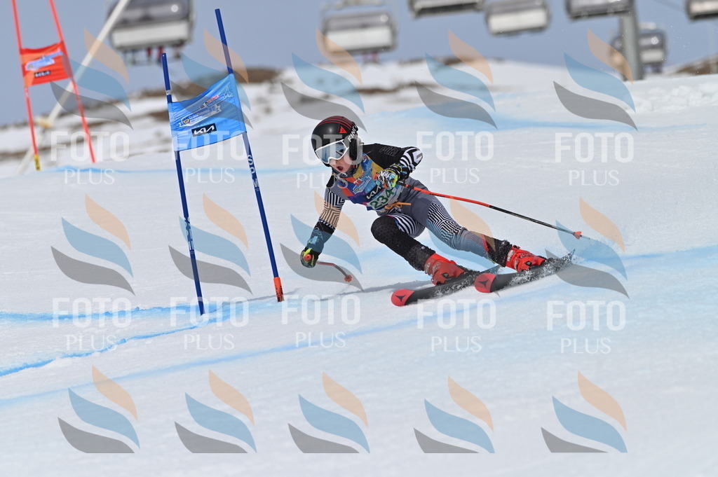 BGV_4642 | holidayphoto