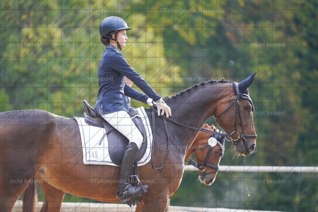20221008-FAH00831 | Diessen am Ammersee, 2022, Dressur- und Springturnier, Reitsportbilder, Turnierfotografen Bayern, Pferdefotografen, Fotoagentur Herrmann, Turnierbilder