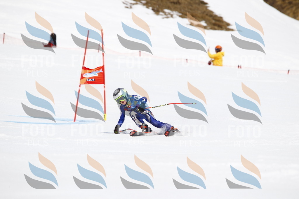 _U3G5588 | holidayphoto