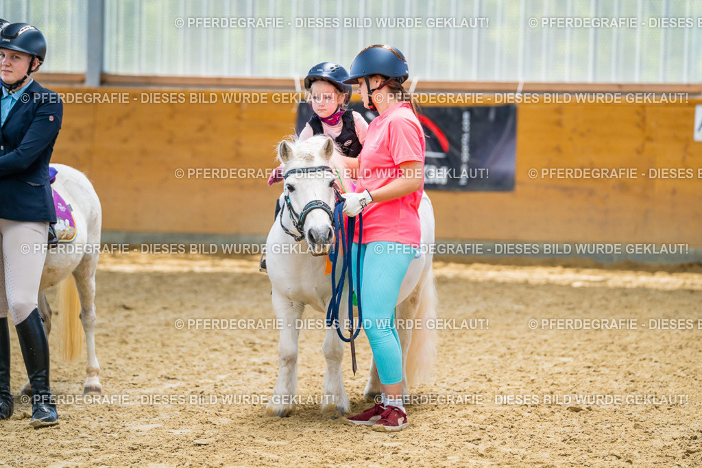 DSC00224 | Pferdegrafie