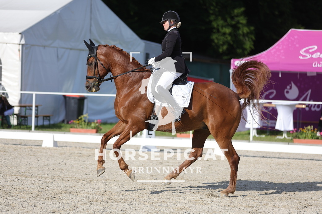 0P6A7390 | Willkommen bei Brunnmayr - Design & Fotografie – Ihrem Spezialisten für Reitturniere und Pferdeveranstaltungen in Oberösterreich, Salzburg und Bayern! Seit über 17 Jahren sind wir leidenschaftlich dabei.