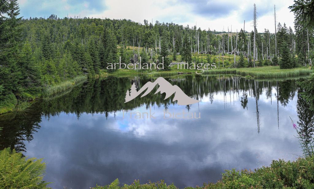 OE7A2521-Pano | Zwieselter oder auch Zwieseler Filz, Hirschbachschwelle