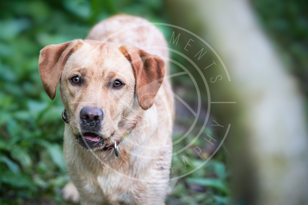 DSC_3284 | best-moments-photography - Realisiert mit Pictrs.com