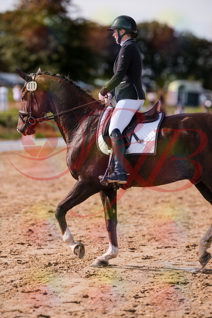 2026_10_03_Siefer-Hof_132229_Z81_71729313 | Professionelle Reitsport-, Turnier- und Eventfotografie von Robert Broda. Galerien mit ausgewählten und bearbeiteten Bildern direkt online ansehen und bestellen.