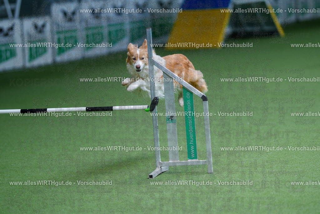 @allesWIRTHgut_Tierfotografie - www.allesWIRTHgut.de - 2604260920-7R507380 | Professionelle Tierfotografie in Mönchengladbach von Daniel Wirth (allesWIRTHgut). Liebevolle & natürliche Bilder von Hunden & Katzen für unvergessliche Erinnerungen.