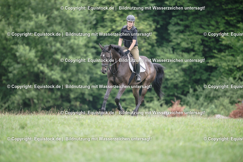 20250726_Vielseitigkeitslehrgang-Marbach_0330 | Foto: Thomas Hartig