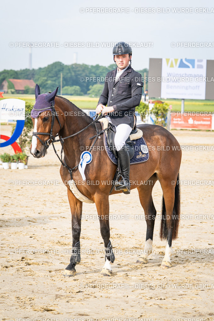 DSC09127 | Pferdegrafie