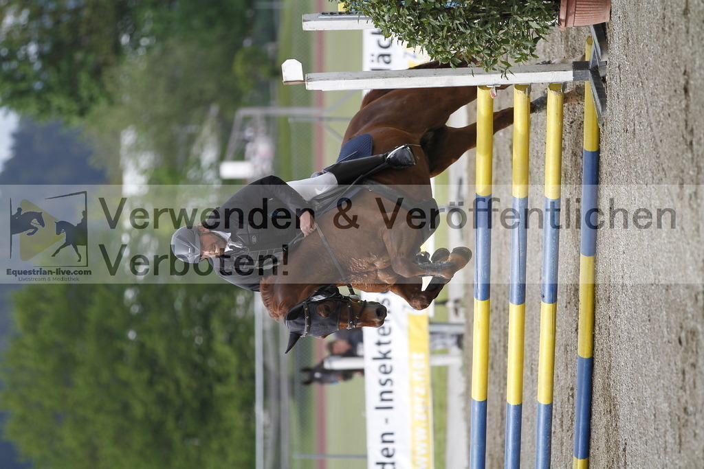 _MG_1318 | equestrian-live-com