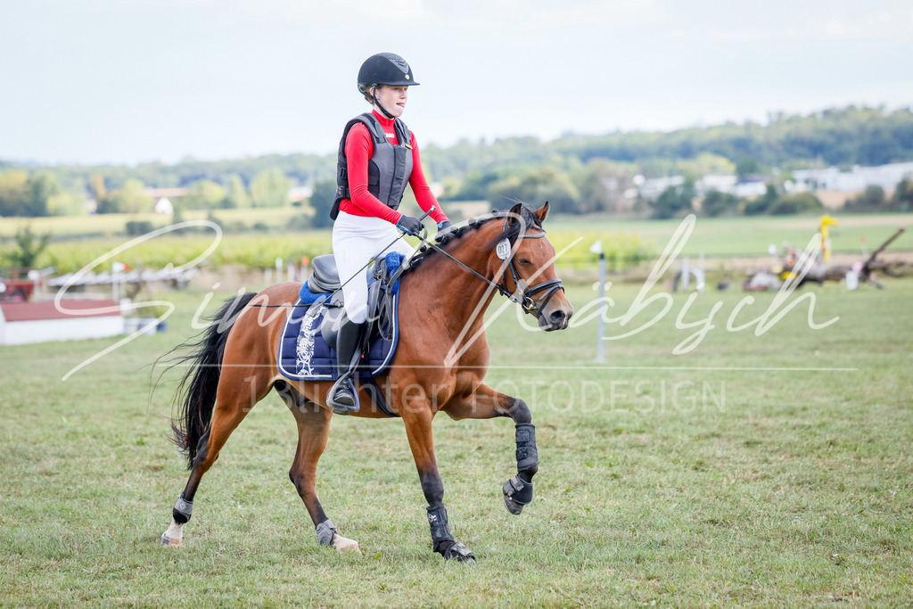 20250905-_3LI1791 | Tierfotografie Pferde, Hunde, Katzen, Haustiere.
Turnierfotografie Reitturniere, Reiten, Springreiten, Dressur in Hanau, dem Main-Kinzig-Kreis und dem Rhein-Main- Gebiet um Frankfurt