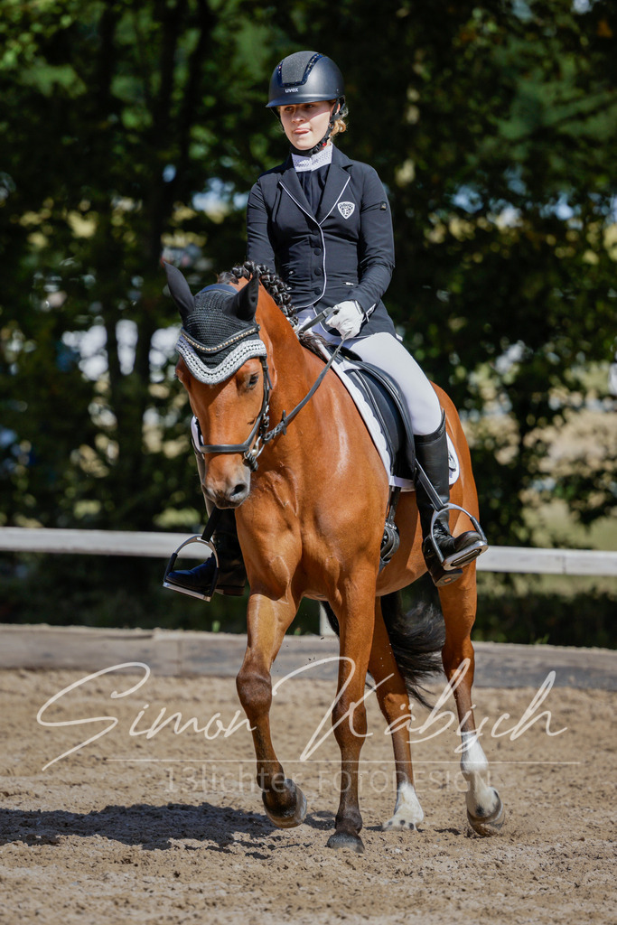 20250906-_3LI5136 | Tierfotografie Pferde, Hunde, Katzen, Haustiere.
Turnierfotografie Reitturniere, Reiten, Springreiten, Dressur in Hanau, dem Main-Kinzig-Kreis und dem Rhein-Main- Gebiet um Frankfurt
