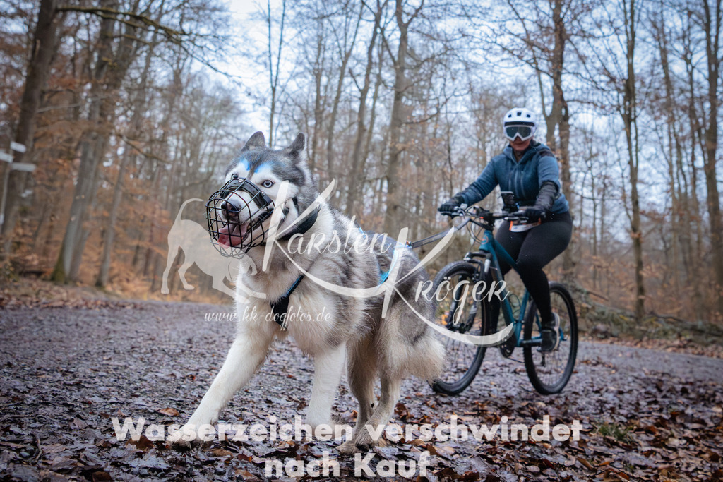 0835_ZZ94724 | kk-dogfotos