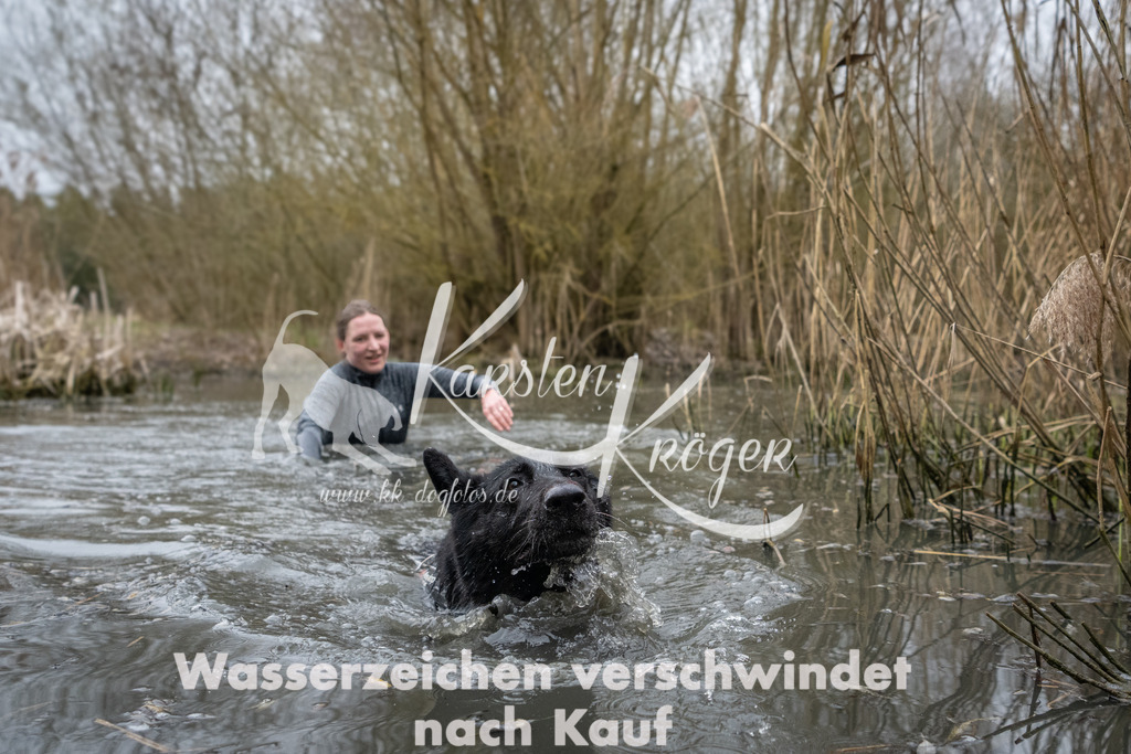 0834_ZZ91222 | kk-dogfotos