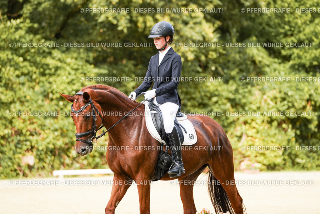 DSC03456 | Pferdegrafie