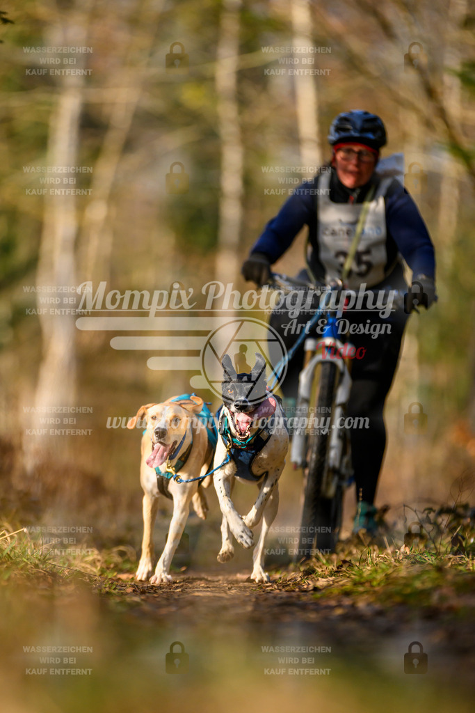 MompixPhotography_6ReiatRennen2026_SO_Bike-7 | PayLife
