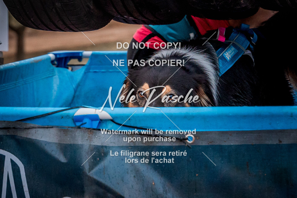 nelerasche_SummerNights26-Sa2000-2100_183 | nelerasche
