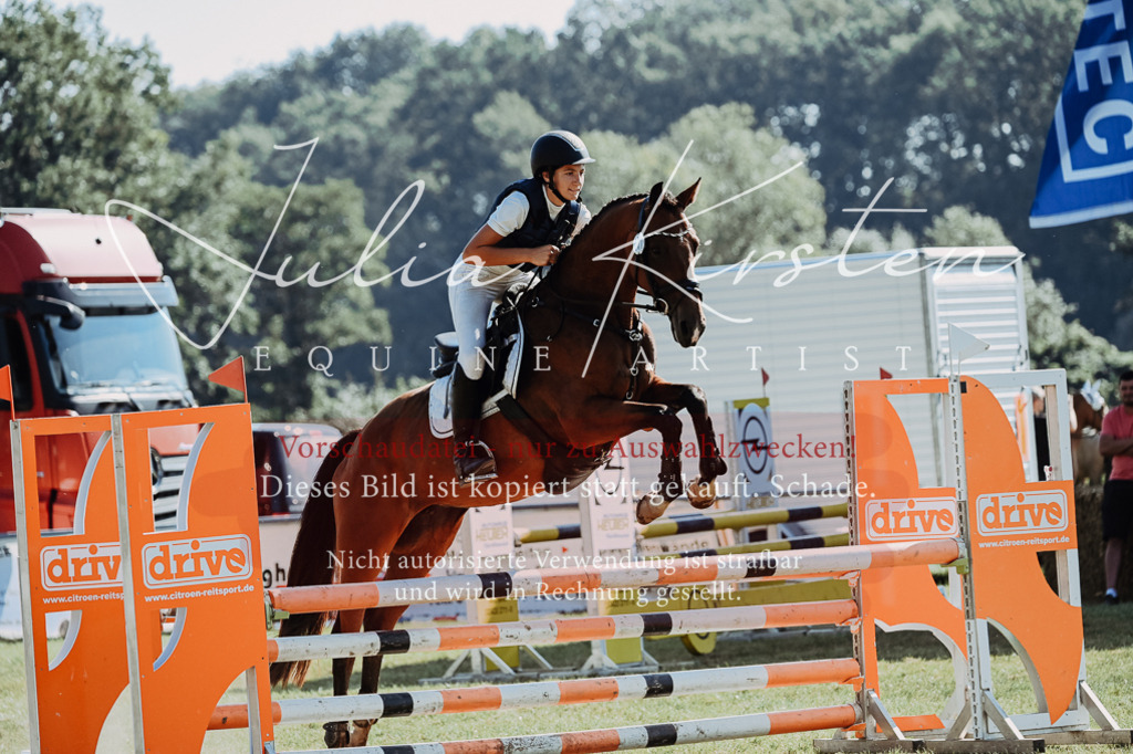 DSC_5432 | Pferde- und Turnierfotografie in Westsachsen. Pferdeportraits, Auftragszeichnungen und intuitive Kunst.
