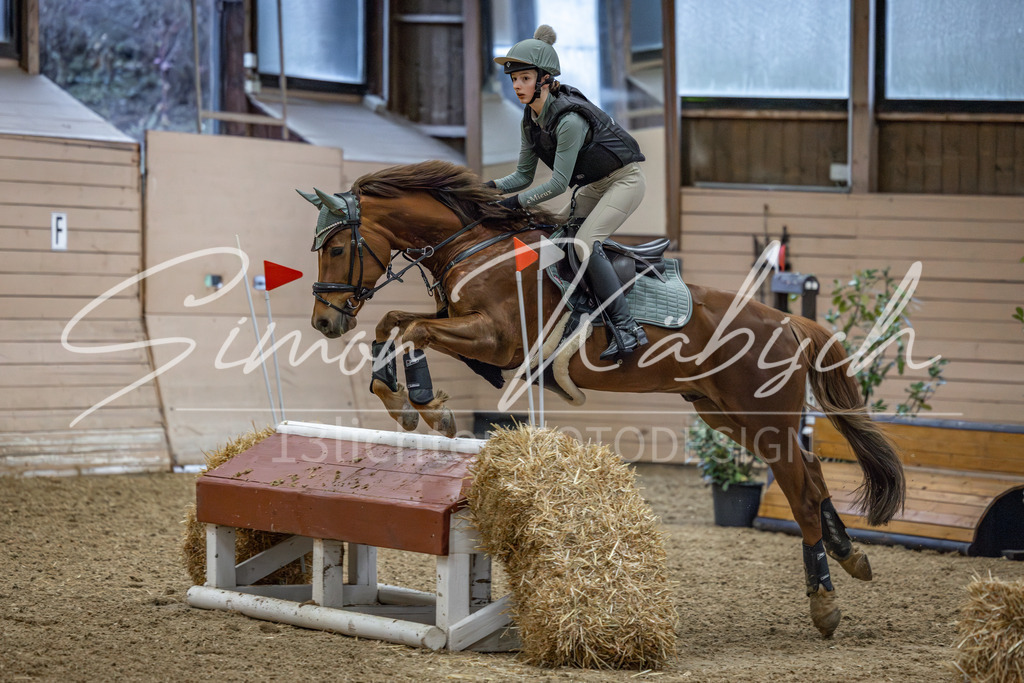 20260222-_3LI1006 | Tierfotografie Pferde, Hunde, Katzen, Haustiere.
Turnierfotografie Reitturniere, Reiten, Springreiten, Dressur in Hanau, dem Main-Kinzig-Kreis und dem Rhein-Main- Gebiet um Frankfurt