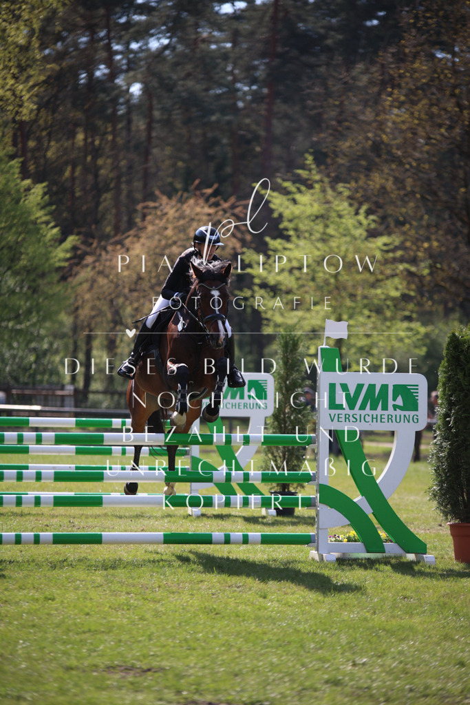 IMGT5996 | pl-fotografie