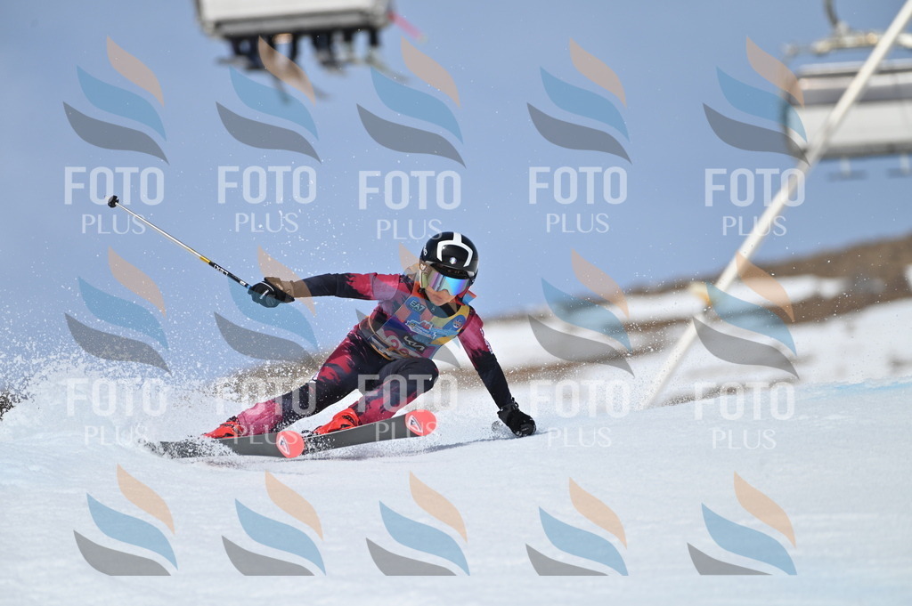 BGV_4191 | holidayphoto