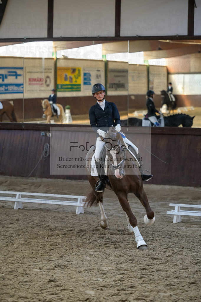 Reitturnier Voxtrup | Entdecke hochwertige Reitturnierfotos von Foto Oger. Professionell, emotional und authentisch – jetzt Lieblingsmomente im Shop bestellen.Deutschlandweite Turnierfotografie. - Realisiert mit Pictrs.com