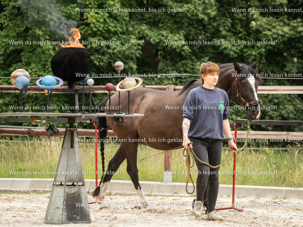 598A6649 | photographylinaismer - Realisiert mit Pictrs.com