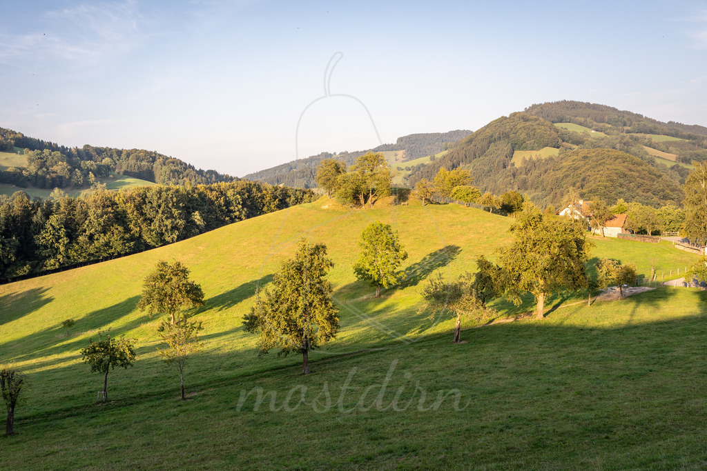 Sommer am Tabor in Randegg | Ihre Fotografin im Lungau, ihre Fotografin im Mostviertel, Wandbilder Onlineshop, Imagefotos für Ihr Unternehmen,  - Realisiert mit Pictrs.com