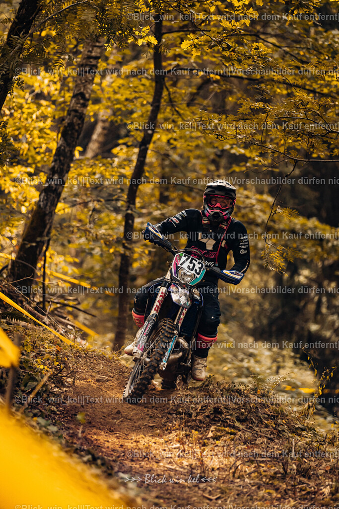 E68A3925 | blick_win_kel