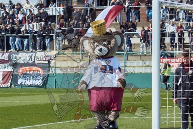 BFC Dynamo vs. VSG Altglienicke 001 | mythos-online-redaktion