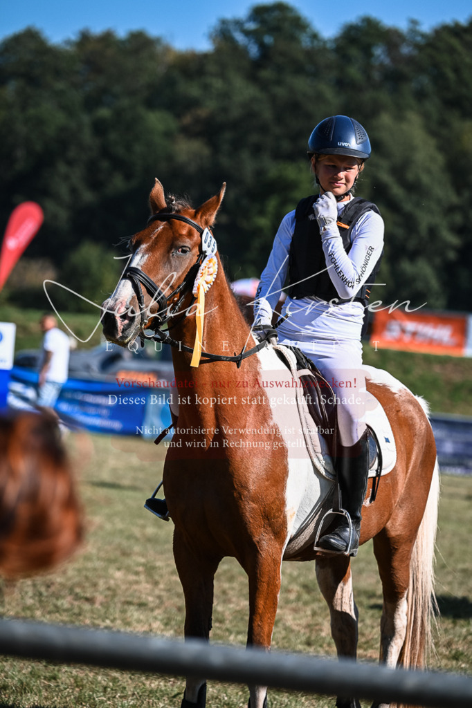 DSC_7007 | Pferde- und Turnierfotografie in Westsachsen. Pferdeportraits, Auftragszeichnungen und intuitive Kunst.