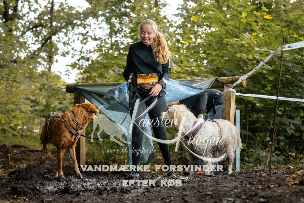 1435DZ6_3075Z6 | kk-dogfotos