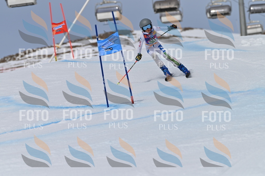 BGV_5628 | holidayphoto